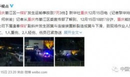 重庆贾先生最新爆料事件,揭秘背后惊人真相